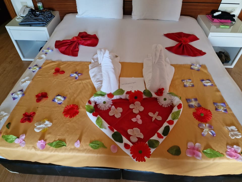 Zimmer Seaden Sea World Resort & Spa