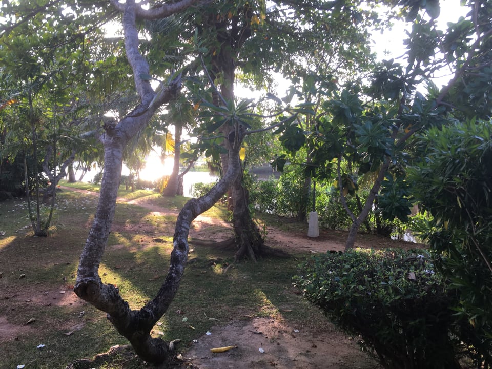 Gartenanlage Club Palm Bay