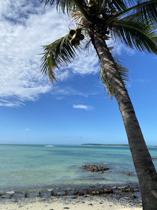 Ausblick Tropical Attitude - Adults only