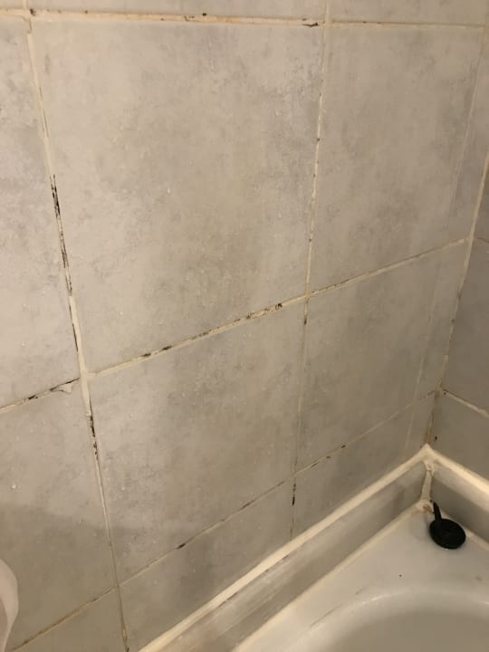 Zimmer Sea Star Beau Rivage