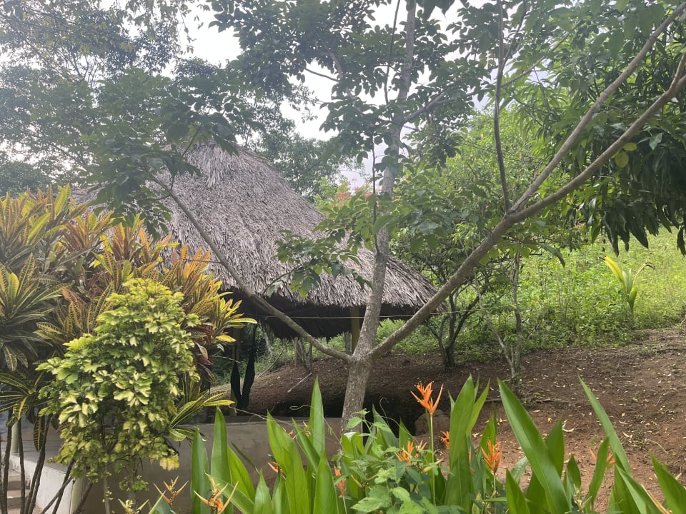 Gartenanlage Hostal Recuerdos del Tayrona