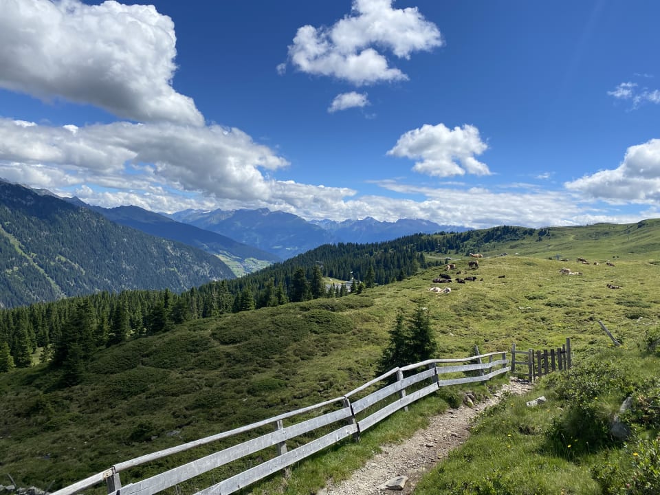 Ausblick Alphotel Tyrol