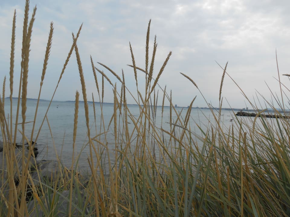Strand Sineva Park