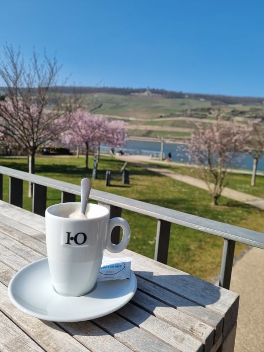 Gastro PAPA RHEIN - Hotel & Spa