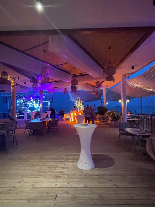 Strand Seashell Vega