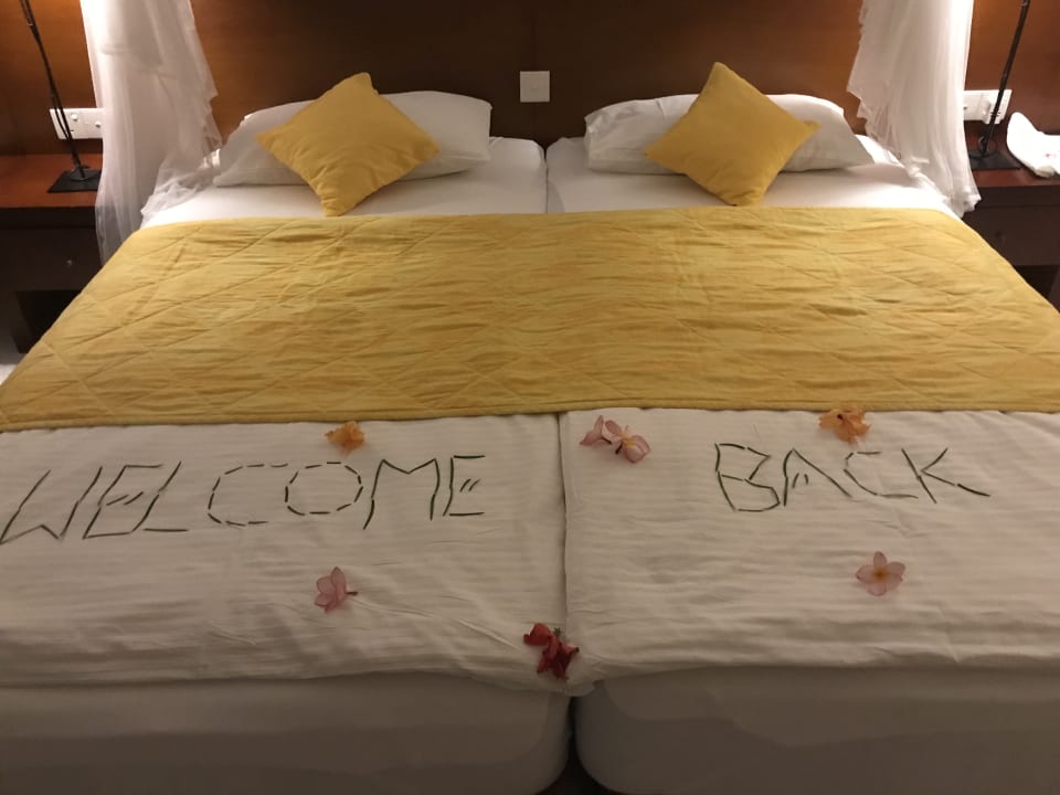 Zimmer Hotel Lanka Princess Ayurveda