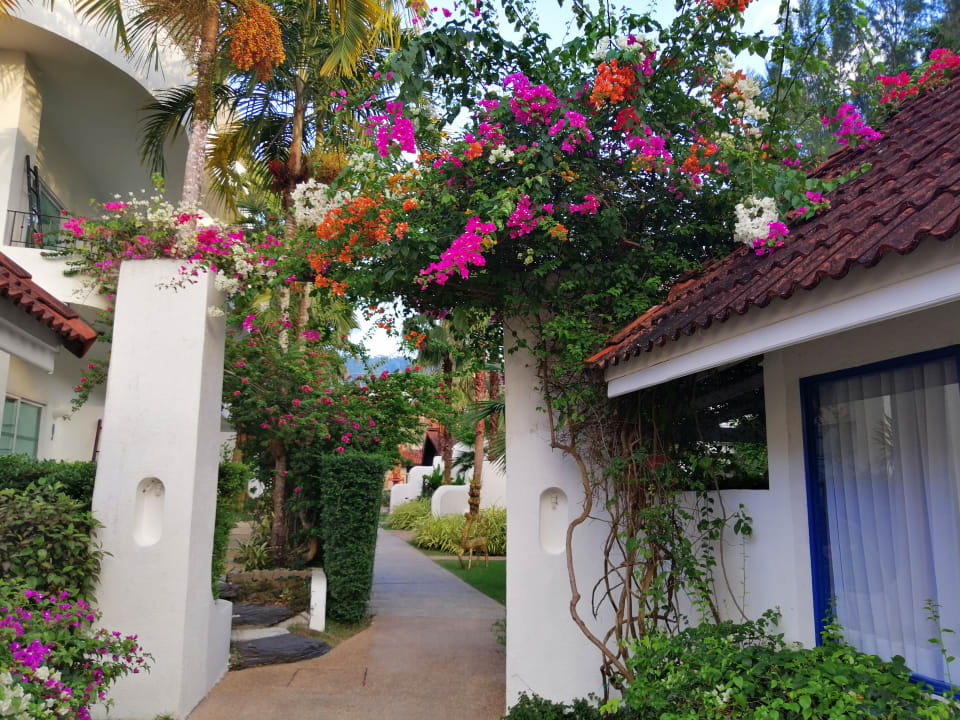 Gartenanlage Ocean Breeze Resort