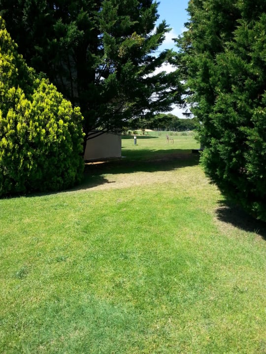 Viel gepflegtes Grün Hotel Vincci Costa Golf