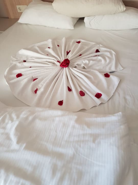 Zimmer Seaden Sea Planet Resort & Spa