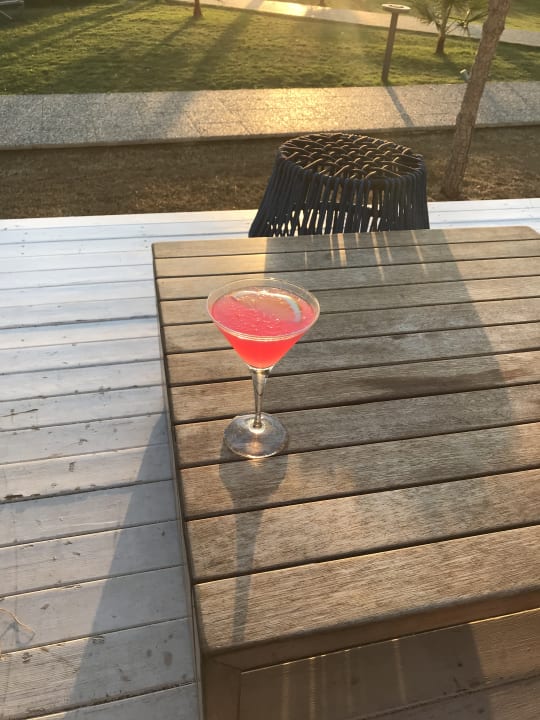 Gastro Acanthus Cennet Barut Collection