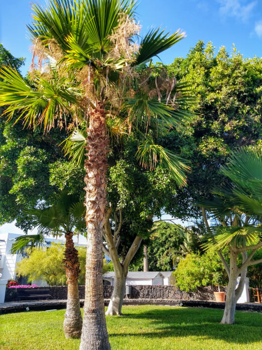 Gartenanlage Relaxia Olivina