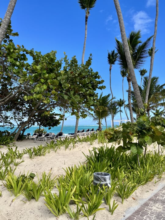 Strand Grand Palladium Select Bávaro Resort & Spa