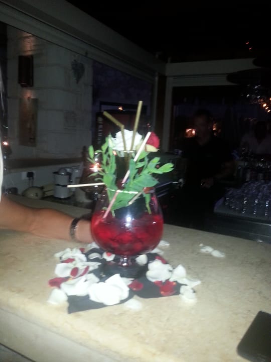 Cuba Libre Cactus Royal