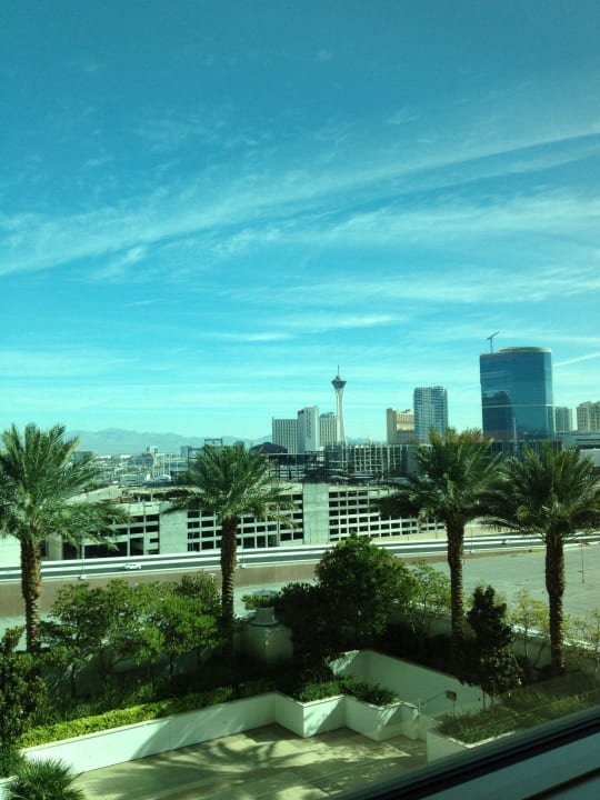 17. Stock Trump International Hotel Las Vegas