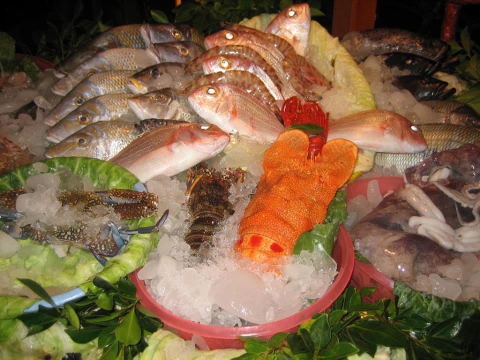 Fisch Happy Life Village