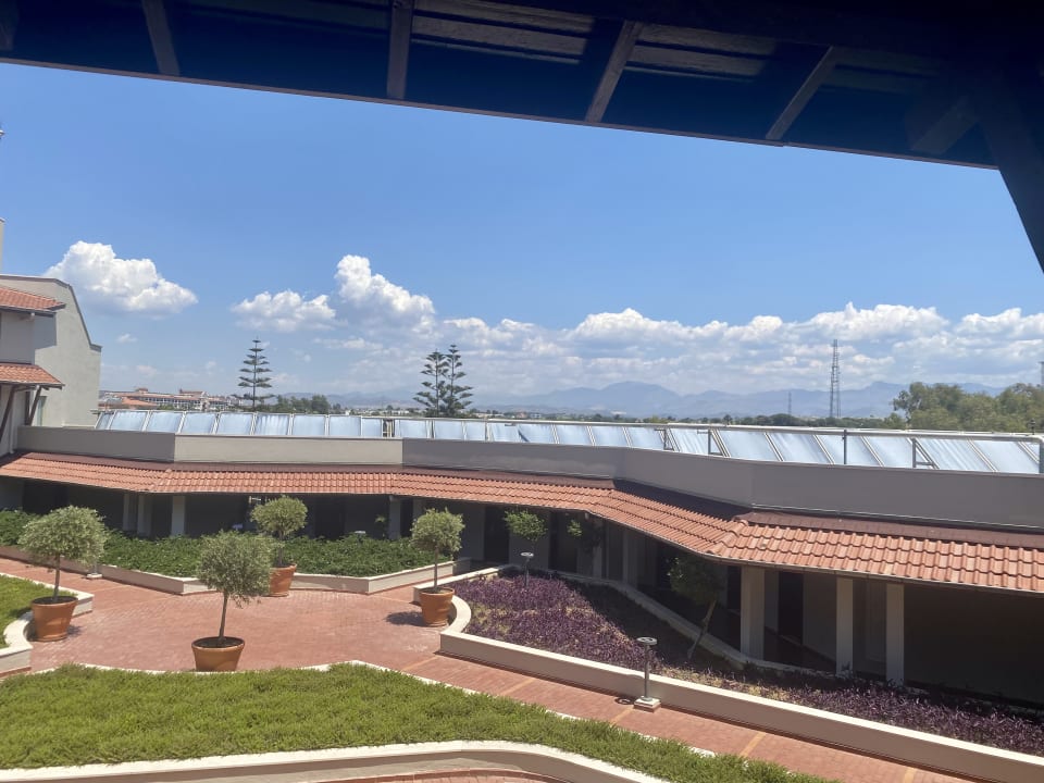 Ausblick Arum Barut Collection