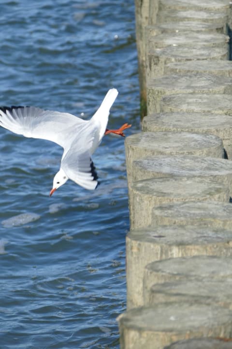 Strand Grand Lubicz – Uzdrowisko Ustka