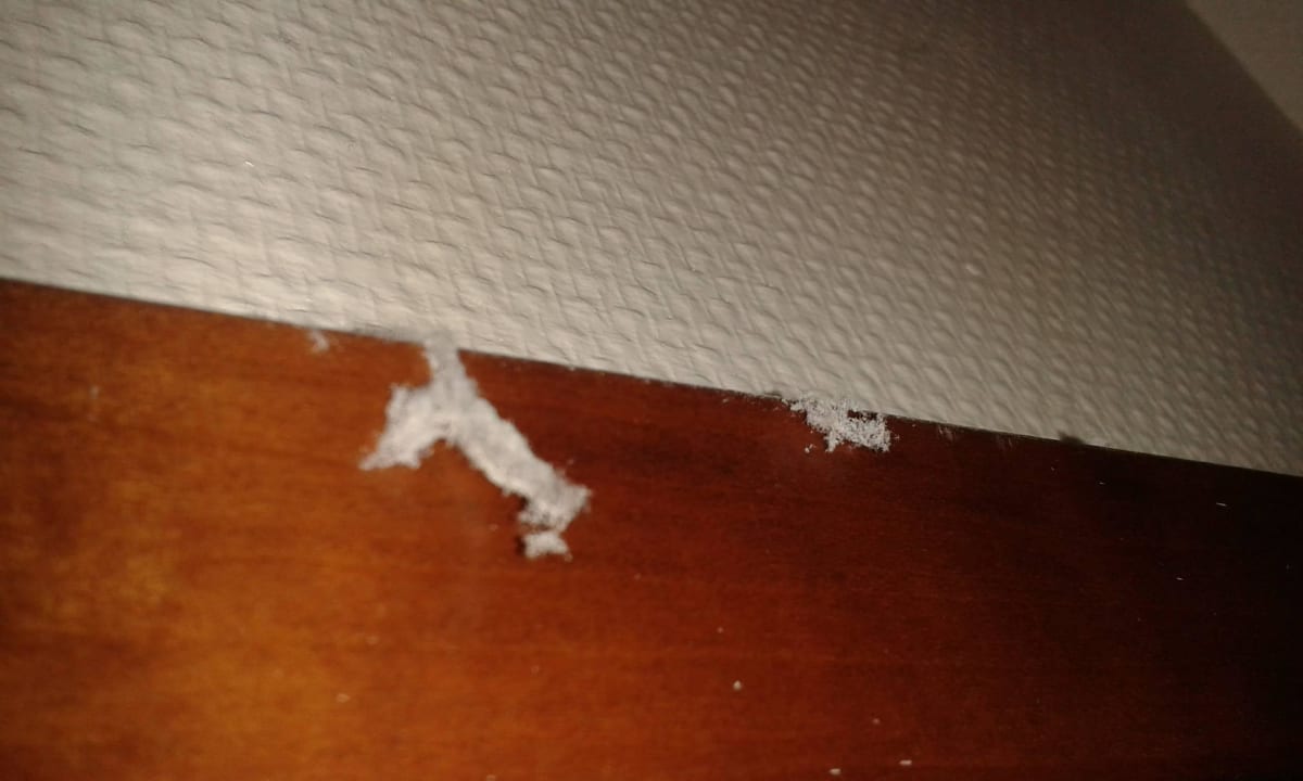Dreck am Schrank Inselhotel Bruns