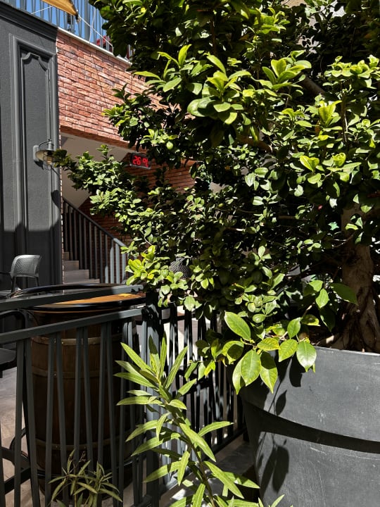 Gartenanlage Hane Family Resort