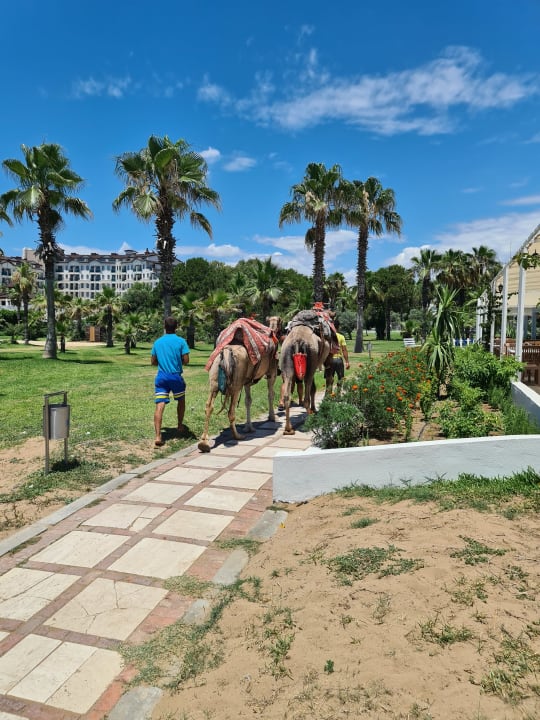 Strand Süral Saray Hotel