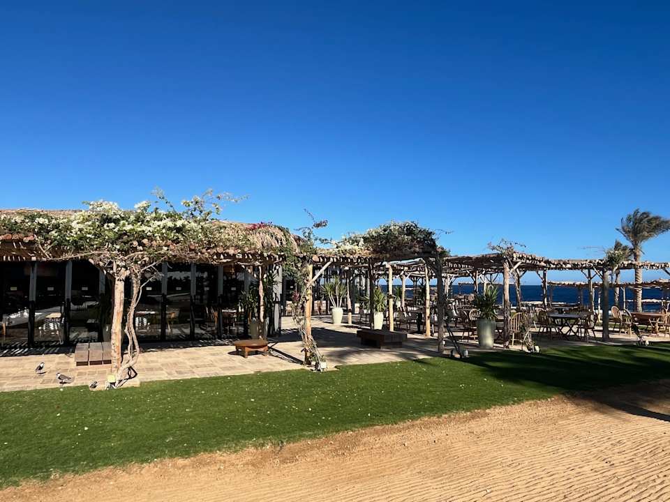 Gastro Steigenberger Resort Alaya Marsa Alam - Red Sea - Adults only