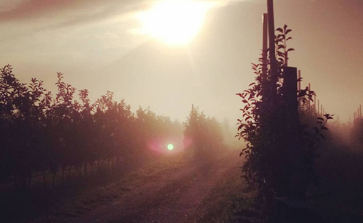 Sonstiges Agriturismo dal Perotin