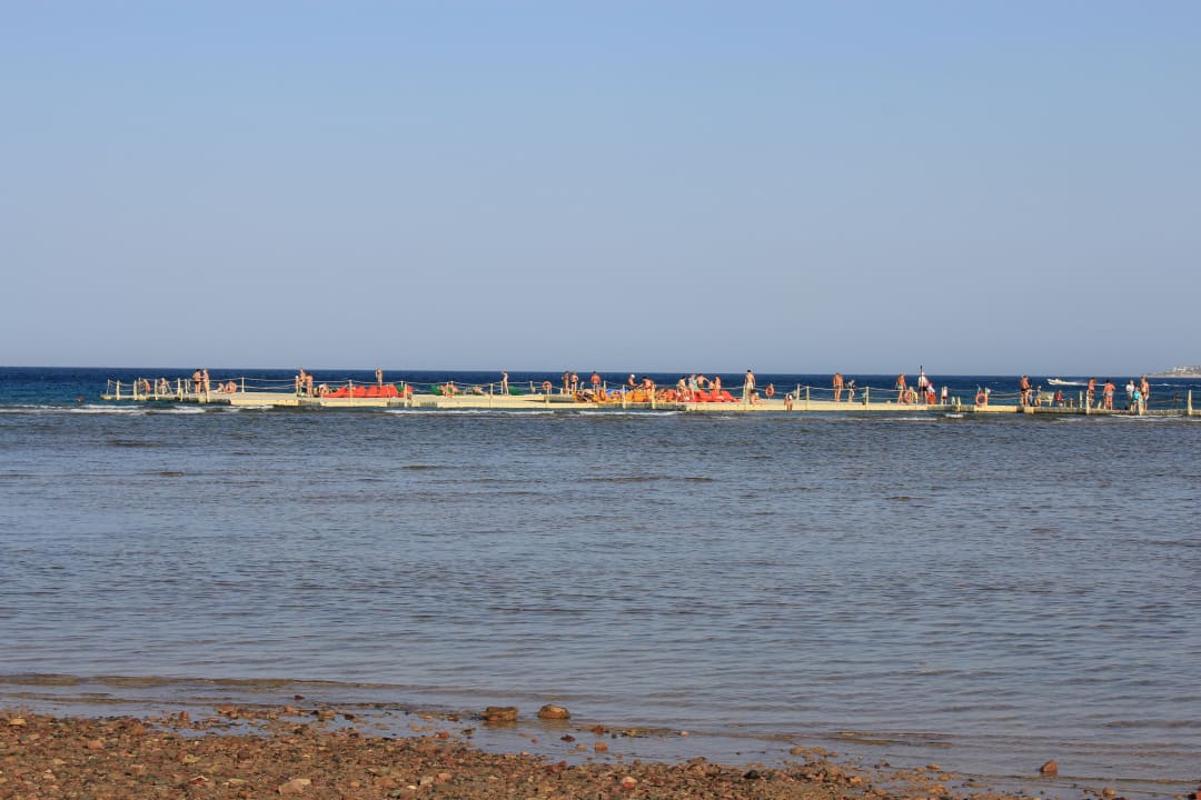 Der Steg mit Meerwasserpool Pickalbatros Palace Resort