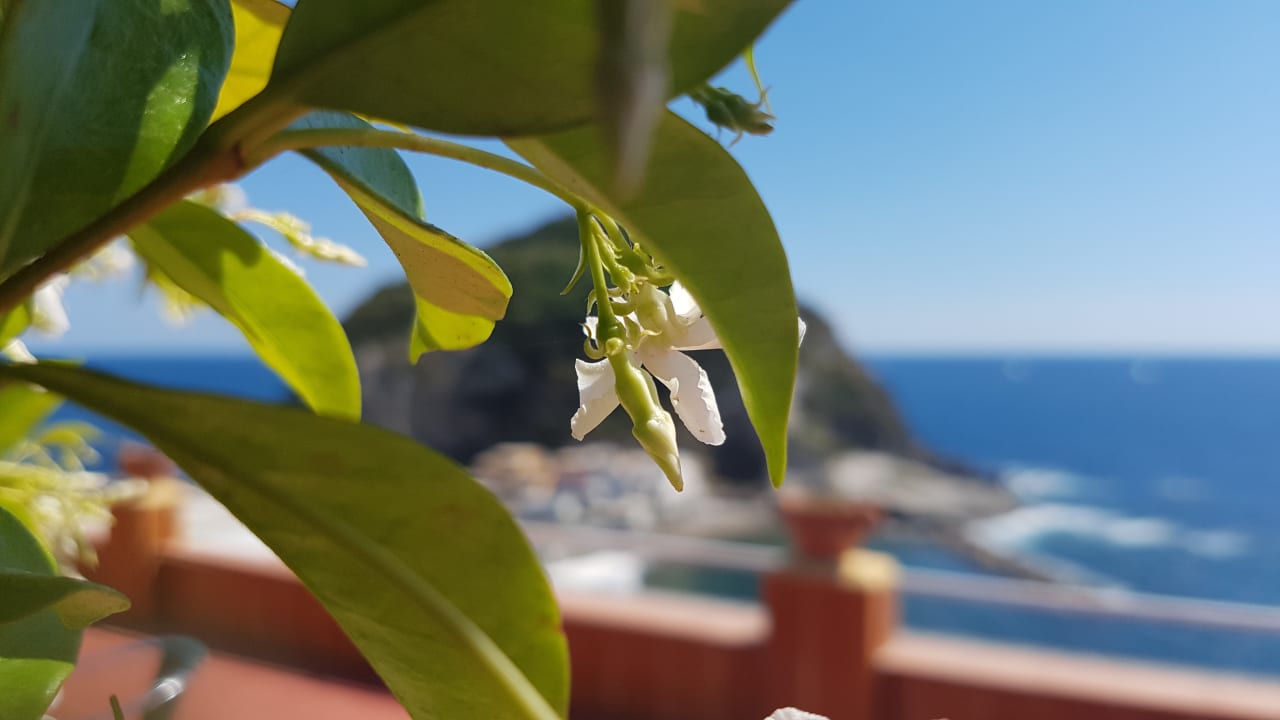 Sonstiges Hotel Villa Sirena