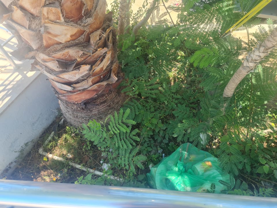 Außenansicht Asteria Family Resort Side