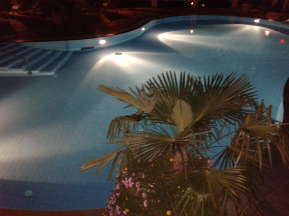 Pool am Abend Hotel Panorama