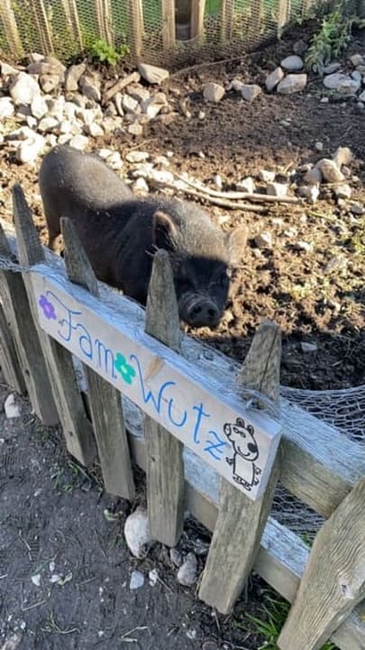 Sonstiges Naturhotel Forsthofgut