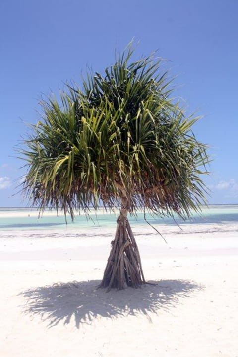 Blick zum Strand Neptune Pwani Beach Resort & Spa
