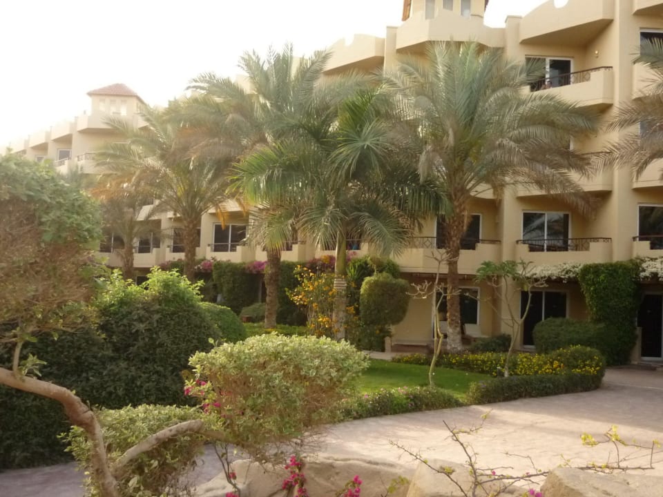 Zadbana roślinność  Amwaj Beach Club Abu Soma Resort