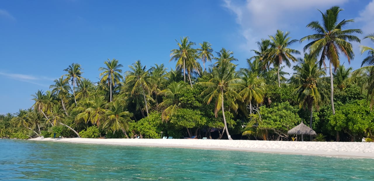 Strand Filitheyo Island Resort