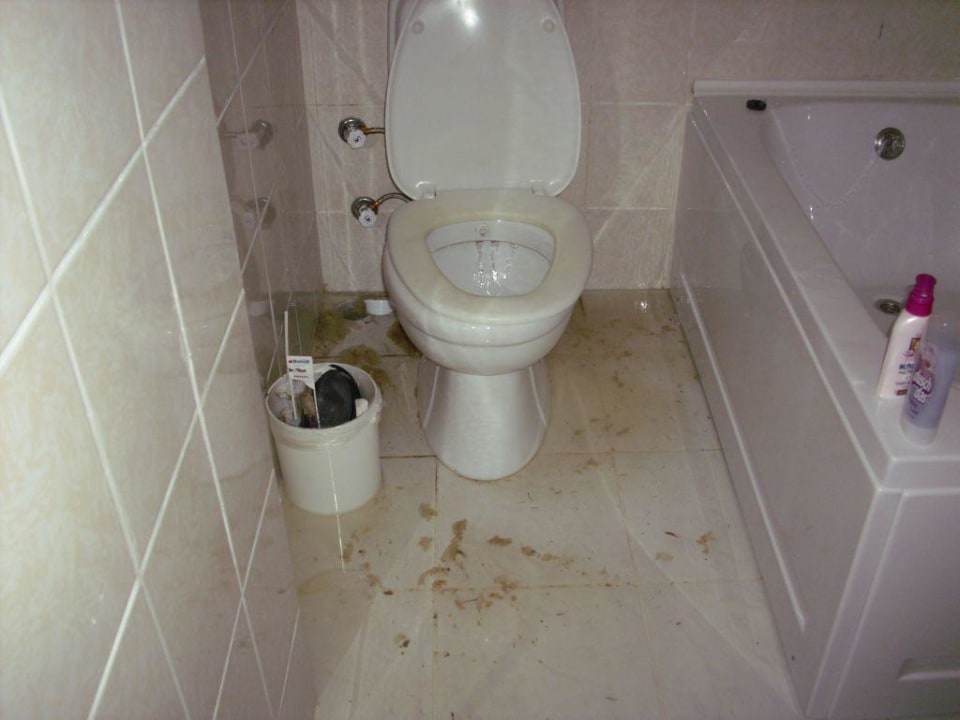 Als die Kanalisation hochkam... Dream Family Club