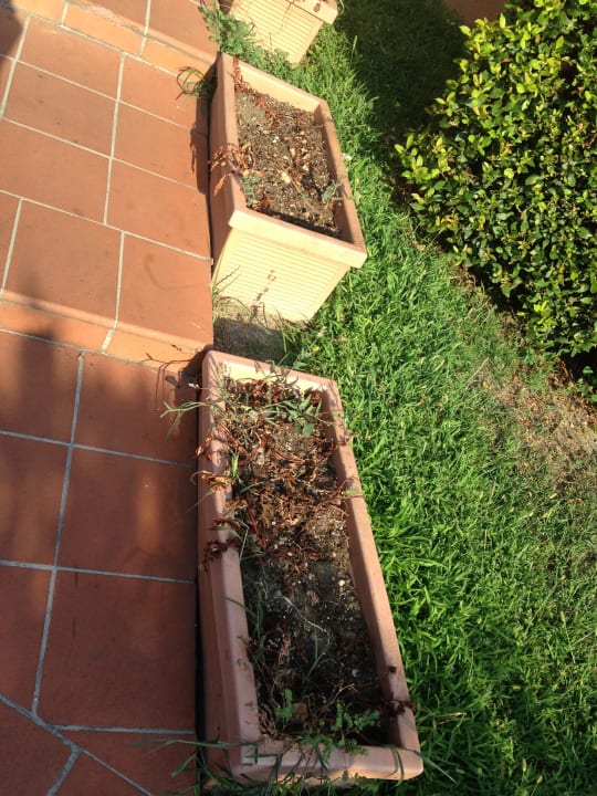 Der Eingang zum Glück Residenza Cappuccini