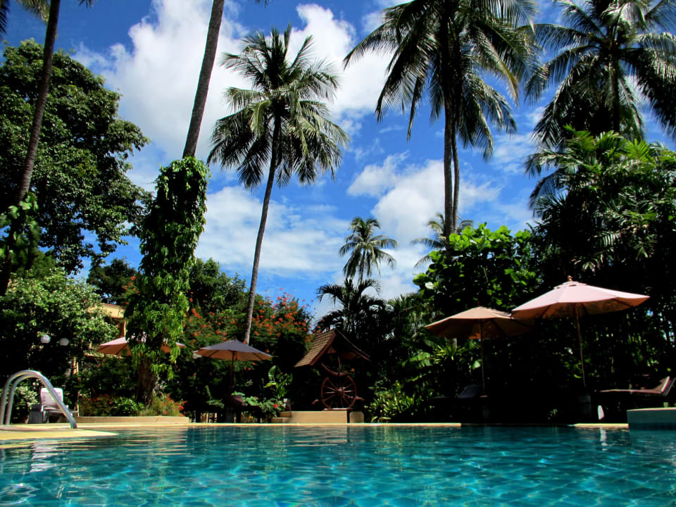 Pool The Fair House Beach Resort