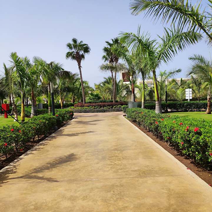 Gartenanlage Hotel Riu Palace Santa Maria