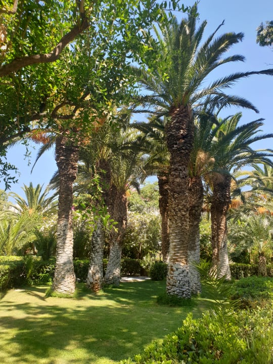 Gartenanlage Apollonia Beach Resort & Spa