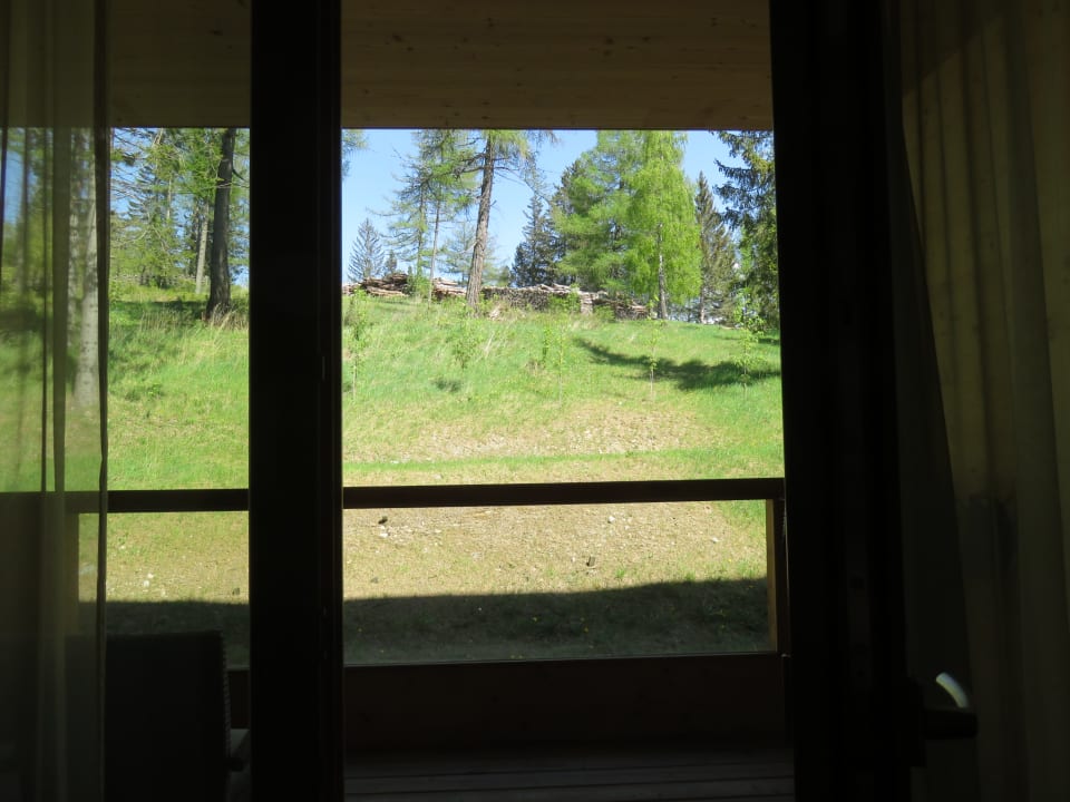 Ausblick Almwellness Hotel Pierer