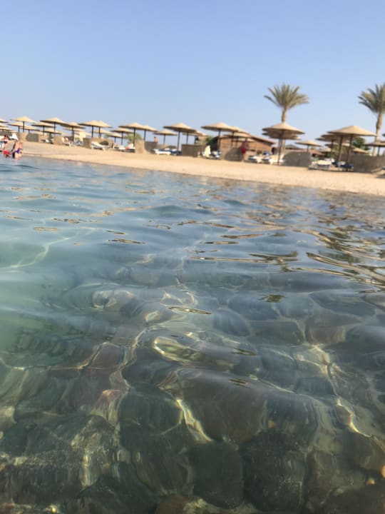 Strand Sea Star Beau Rivage