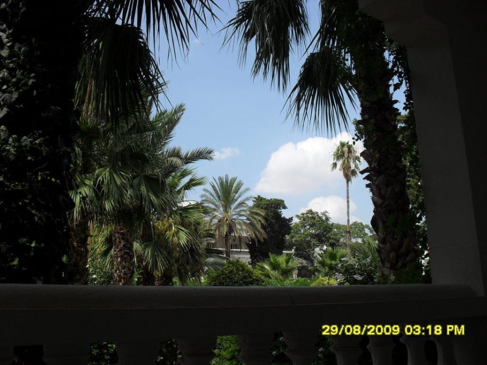 Ausblick vom Zimmer aus Movie Gate Miramar
