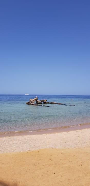 Strand Pickalbatros Citadel Resort