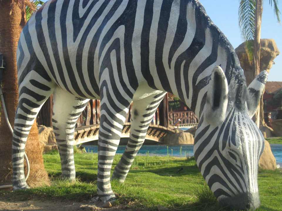 Территория отеля Pickalbatros Jungle Aqua Park Resort - Neverland Hurghada