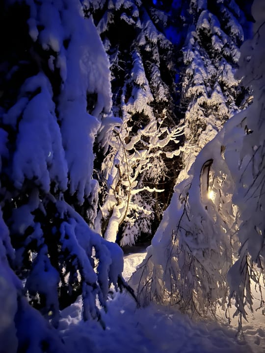 Gartenanlage Hüttendorf Schlögelberger