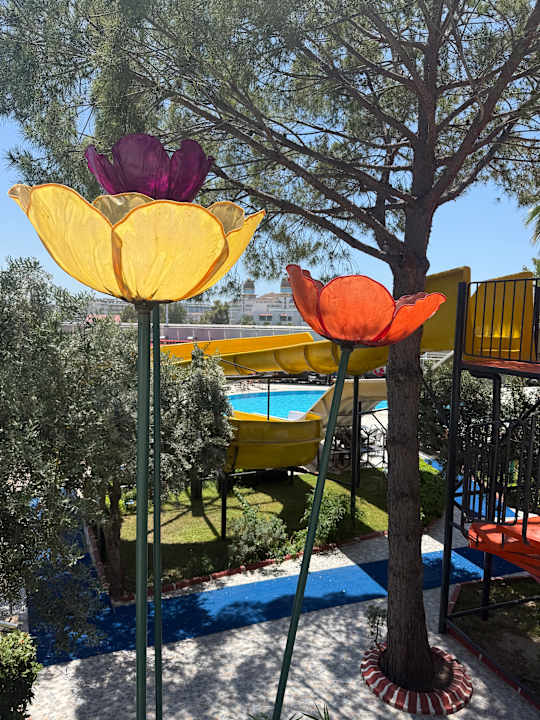 Ausblick Side Alegria Hotel & Spa - Adults only +16