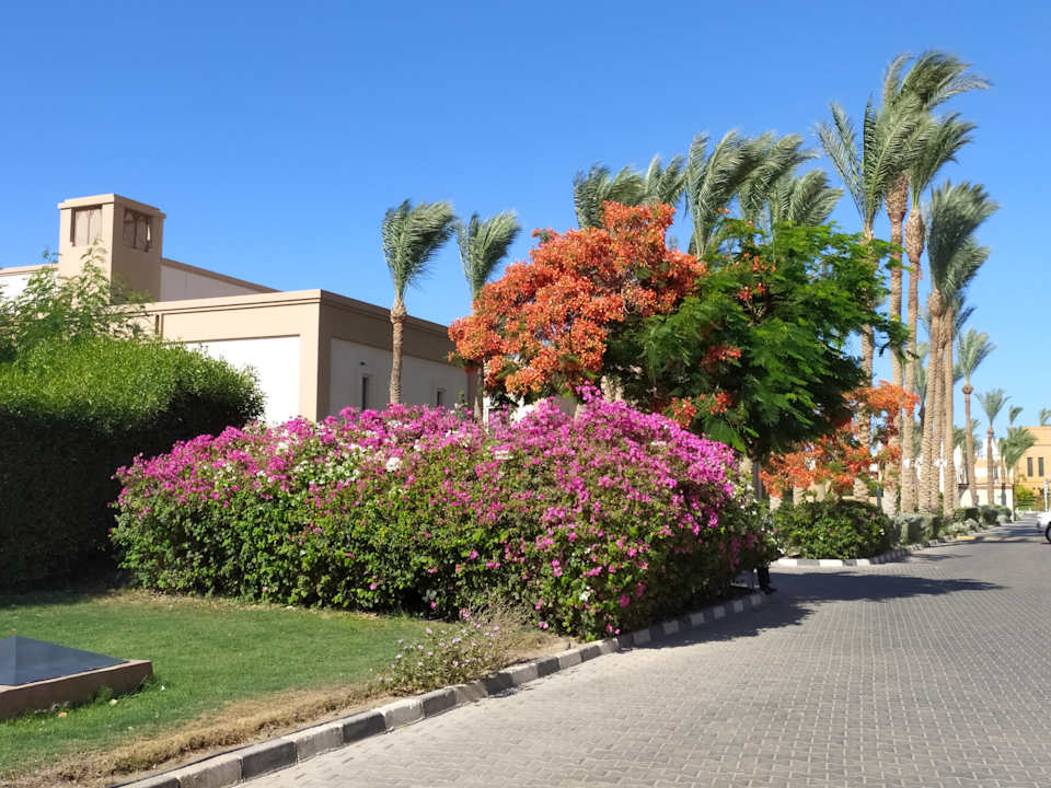 Außenansicht Marina Resort Port Ghalib, a member of Radisson Individuals