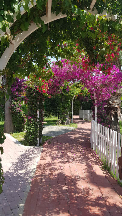 Gartenanlage Hane Family Resort