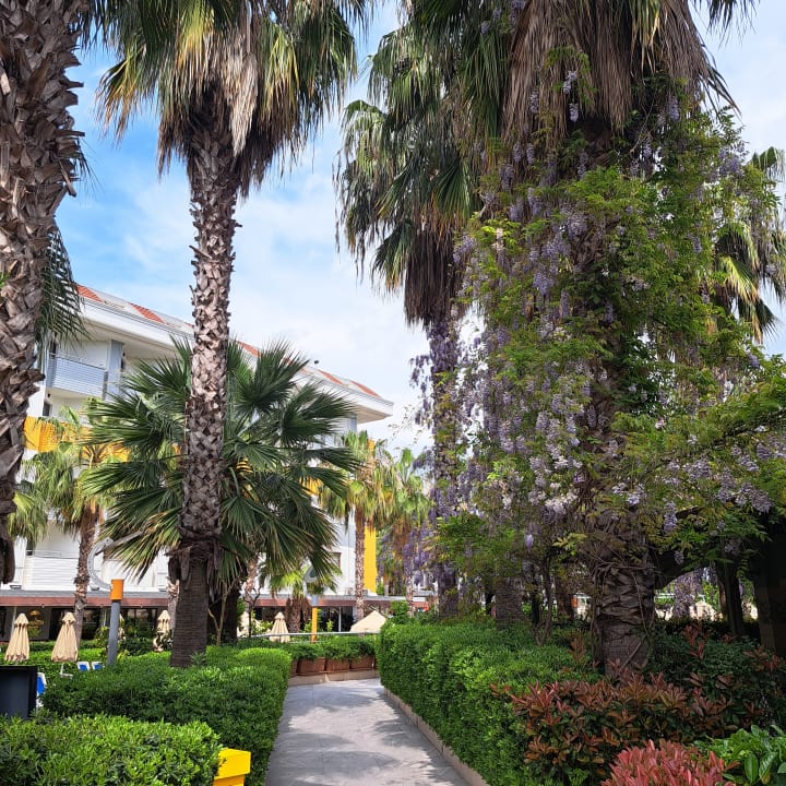 Gartenanlage Hane Family Resort