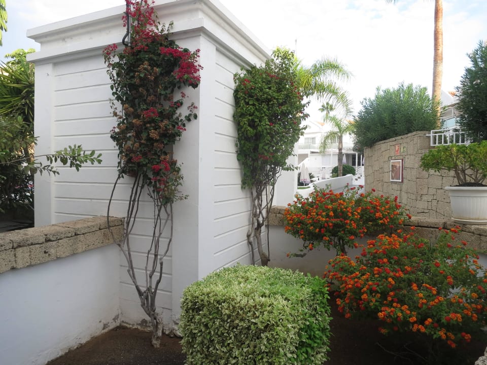 Nett LABRANDA Bahía y Villas Fañabé